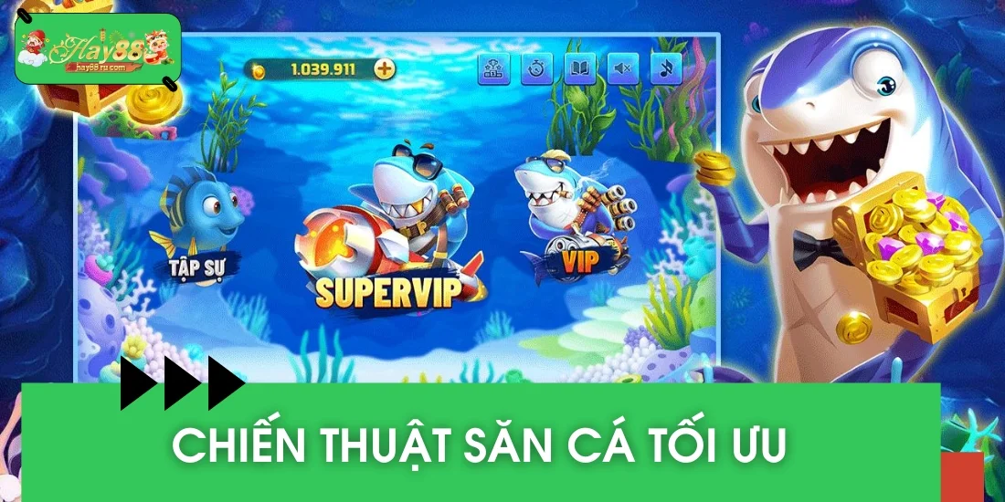 Chiến thuật săn cá tối ưu, thắng lớn