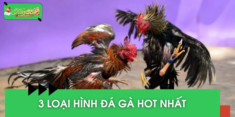 Chia sẻ 3 thể loại có lượt truy cập cao trên hệ thống