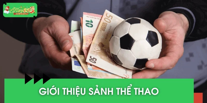 Giới thiệu sảnh thể thao