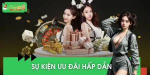 Sự Kiện Ưu Đãi Hấp Dẫn - Quà Tặng Giá Trị Chờ Bạn Mỗi Ngày